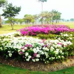 Thumbnail of http://Bangpoo%20Golf%20&%20Sport%20Club