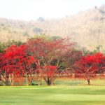 Thumbnail of http://Hua%20Hin%20Korea%20Golf%20Club