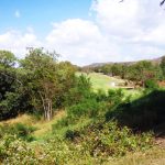 Thumbnail of http://The%20Emerald%20Golf%20Club