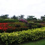 Thumbnail of http://Green%20Valley%20Country%20Club