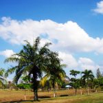 Thumbnail of http://Pattaya%20Country%20Club%20&%20Resort