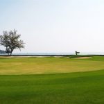 Thumbnail of http://Sea%20Pines%20Golf%20Club