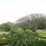 Thumbnail of 