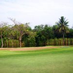 Thumbnail of http://The%20Royal%20Golf%20&%20Country%20Club