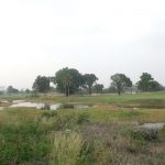 Thumbnail of 