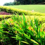 Thumbnail of http://Santiburi%20Country%20Club%20Chiangrai
