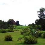 Thumbnail of http://Red%20Mountain%20Golf%20Club